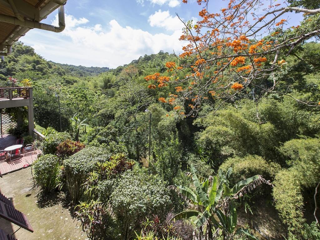 Cuffie River Nature Retreat Villa Port of Spain Ngoại thất bức ảnh