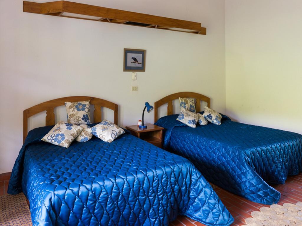Cuffie River Nature Retreat Villa Port of Spain Ngoại thất bức ảnh